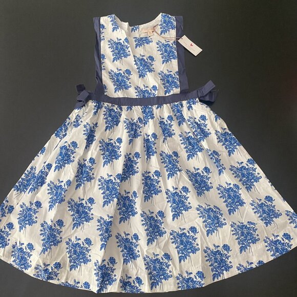 NWT Pink Chicken Blue Floral Dress - Picture 1 of 11